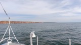Няма данни за замърсяване в българската акватория на Черно море