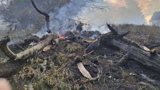 Продължава борбата с пожара в природен парк Рилски манастир съобщава