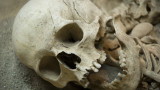 Черепът на милион години, който може да промени всичко, което знаем за историята на човека