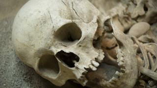 Черепът на милион години, който може да промени всичко, което знаем за историята на човека