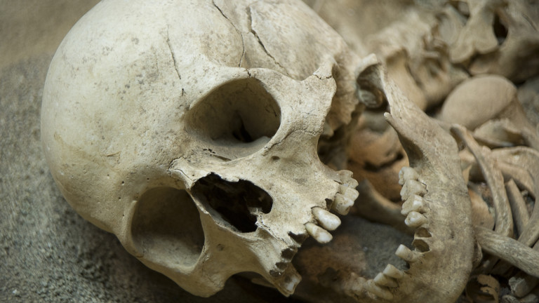 Черепът на милион години, който може да промени всичко, което знаем за историята на човека