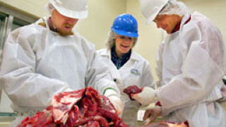 10 т. опасното ирландско месо откриха в Монтана