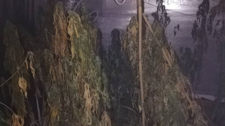 ÐзобÑажение 365693