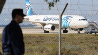 Ветеринар похитил самолета, той е идиот, бесни египетските власти