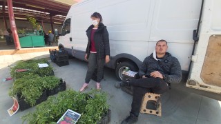 Производителите и търговските вериги стопили недоверието помежду си