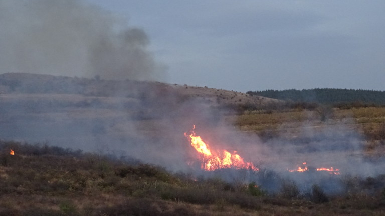 Изображение 386393