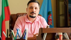 5000 лв. глоба за фирма, бетонирала дървета в "Дианабад"