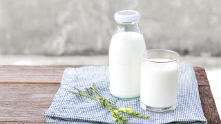 14 български предприятия изнасят млечни продукти за Китай Първите четири