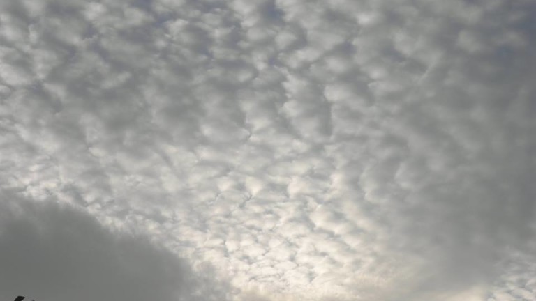 Облачно, хладно, с валежи