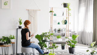 Ако питаме астролозите почти нищо в живота ни не зависи