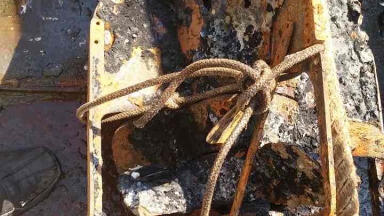 Изображение 297193