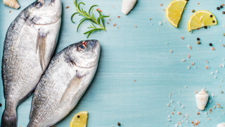 Европа е изяла собствената си риба за тази година