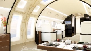 Руският бизнесмен Роман Абрамович е придобил самолет Boeing 787 8 Dreamliner