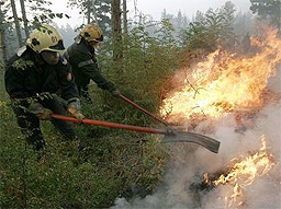 Горят сухи треви и храсти между селата Радовец и Студена
