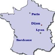Ислямист рани 11 души във Франция 