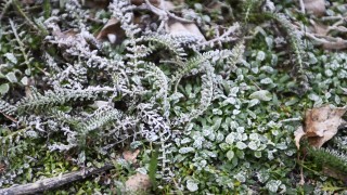 Днес под влияние на дълбок средиземноморски циклон времето ще е