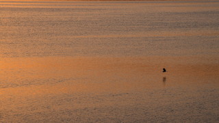 Днес отново ще бъде слънчево След обяд над планините в