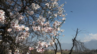 Слънце в неделя