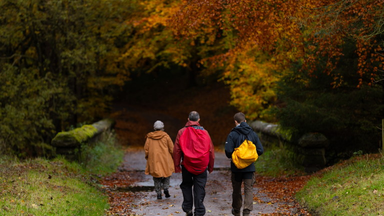 Жълт код за силен южен вятър в 15 области