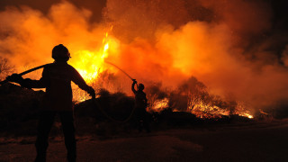 През последните седмици пожарите в Сибир и Южна Америка приклещиха