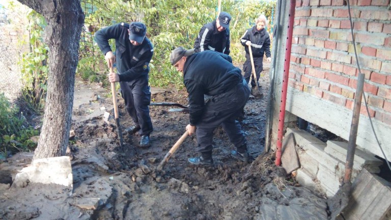 Изображение 320894