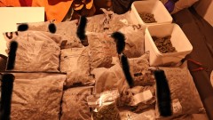 Задържаха петима и марихуана за 240 000 лв. в Стара Загора