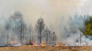 Пожар е избухнал преди обяд до вилната зона край Харманли