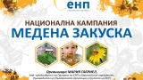Деца учат за пчелите и меда по инициатива на наш евродепутат