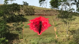Джулиана Нотари, Дива, масивната скулптура на вагина и вълнения в Бразилия