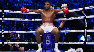 Бившият световен шампион в свръхтежката категория на професионалния бокс Антъни