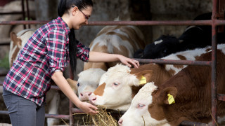 Публикуван за обществено обсъждане е проект на Закон за преброяване