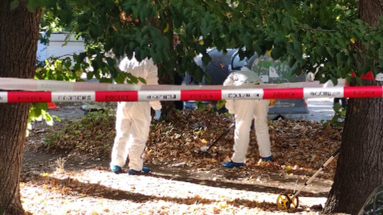 Изображение 732894