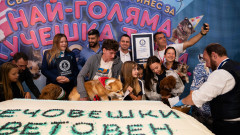България влезе в Гинес с най-голямата кучешка торта в света