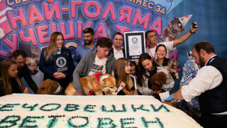 България влезе в Гинес с най-голямата кучешка торта в света