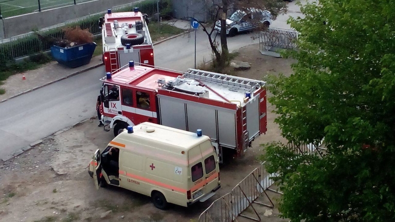 Изображение 253694