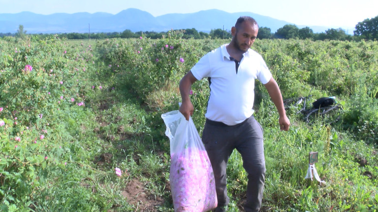 Китай забрани вноса на български храни със съдържание на роза