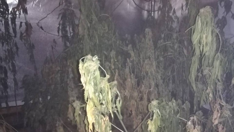 ÐзобÑажение 365694