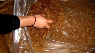 Близо 400 кг контрабанден тютюн е унищожен в Елин Пелин