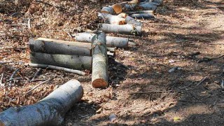 Софийска районна прокуратура започва проверка по казуса с част от