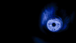 Идеята за Големия брат който наблюдава всичко и всички се