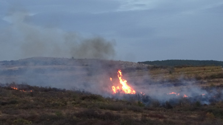 Изображение 386394