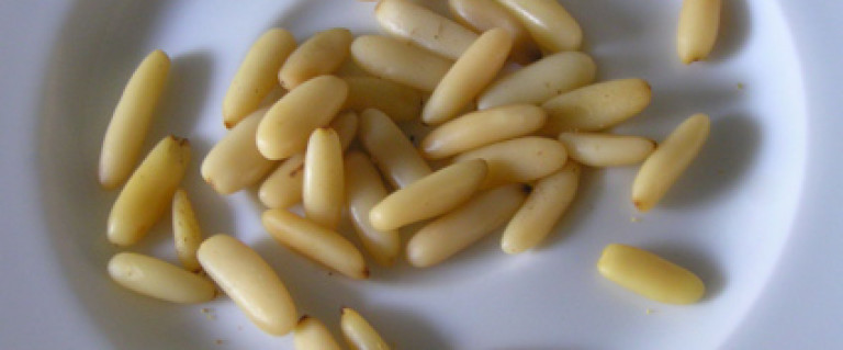 Kедрови ядки