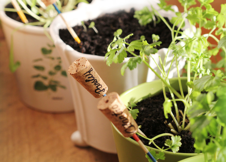 Лесен план, за който ни трябват минутки