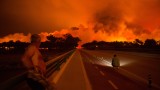  30 души са починали при пожари в Португалия и Испания 