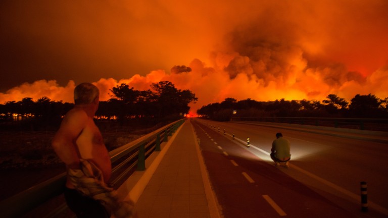 700 пожарникари гасят силен горски пожар в Португалия