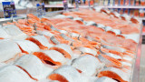  Сьомга, риба звук, скумрия: Близо 1/4 от рибата на пазара е с високо наличие на хистамин 