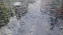 В Западна България - дъжд, а по морето - слънце
