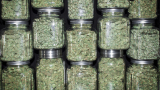  Аризона, Ню Джърси и Южна Дакота легализираха марихуаната за забавление 