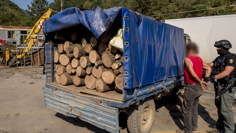 Изображение 379194