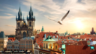 Всяка година австралийският Institute for Economics and Peace прави анализ